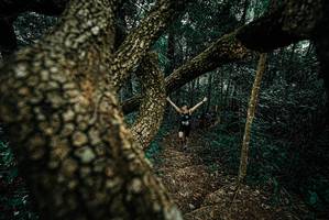 BIB: 
                            <button type="button" onclick="openModal(25695840)" class="btn btn-primary btn-sm float-right btn-popup" data-toggle="modal" data-target=".modal-high-quality">
                        <i class="fas fa-shopping-cart"></i> Add to Cart
                    </button>
                                            <button type="button" onclick="isThisMe(25695840, true)" class="btn btn-success btn-sm float-right btn-popup btn-isme hidden" data-toggle="tooltip" data-placement="bottom" title="นี่คือรูปของคุณใช่ไหม คลิกที่นี่เพื่อเอาเข้าอัลบั้ม">
                        <i class="fas fa-plus"></i> Add to album
                    </button>
                    <button type="button" onclick="isThisMe(25695840, false)" class="btn btn-warning btn-sm float-right btn-popup btn-isnotme hidden">
                        <i class="fas fa-ban"></i> Remove from album
                    </button>